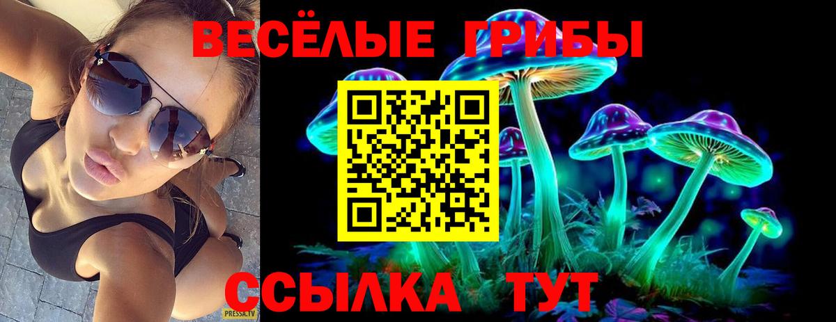 Галлюциногенные грибы мицелий Лобня